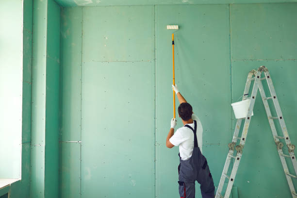 Best Mold Odor Removal Services  in Raceland, KY