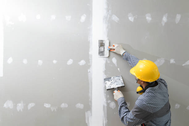Best Mold-Related Health Consultation  in Raceland, KY