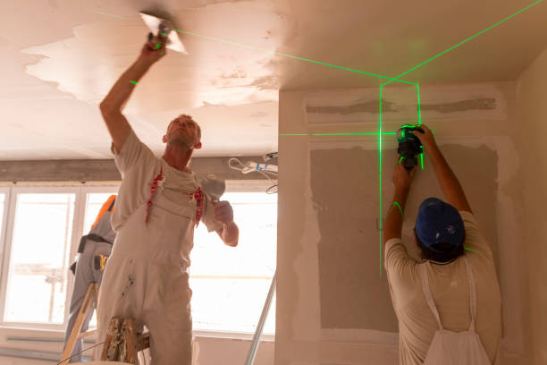Best Mold Remediation for Vacation Homes  in Raceland, KY